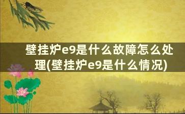 壁挂炉e9是什么故障怎么处理(壁挂炉e9是什么情况)