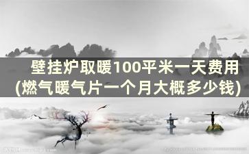 壁挂炉取暖100平米一天费用(燃气暖气片一个月大概多少钱)