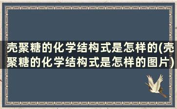 壳聚糖的化学结构式是怎样的(壳聚糖的化学结构式是怎样的图片)