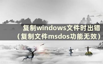 复制windows文件时出错（复制文件msdos功能无效）