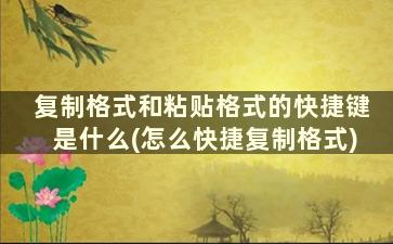 复制格式和粘贴格式的快捷键是什么(怎么快捷复制格式)