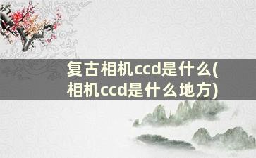 复古相机ccd是什么(相机ccd是什么地方)