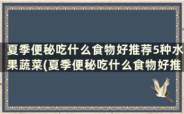 夏季便秘吃什么食物好推荐5种水果蔬菜(夏季便秘吃什么食物好推荐5种水果和蔬菜)