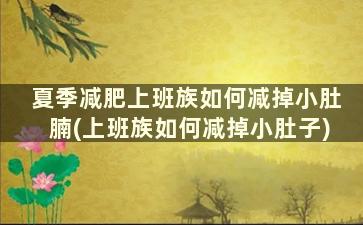 夏季减肥上班族如何减掉小肚腩(上班族如何减掉小肚子)