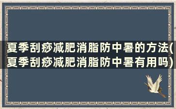 夏季刮痧减肥消脂防中暑的方法(夏季刮痧减肥消脂防中暑有用吗)