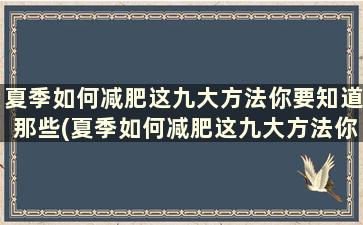 夏季如何减肥这九大方法你要知道那些(夏季如何减肥这九大方法你要知道什么呢)