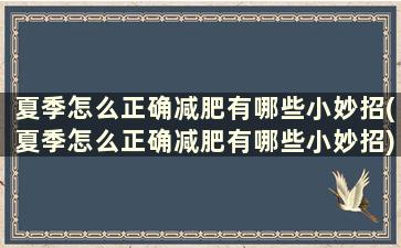 夏季怎么正确减肥有哪些小妙招(夏季怎么正确减肥有哪些小妙招)