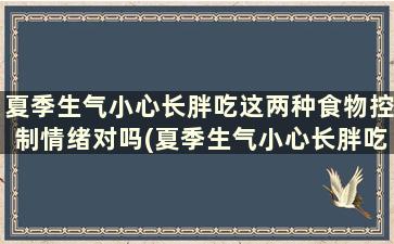 夏季生气小心长胖吃这两种食物控制情绪对吗(夏季生气小心长胖吃这两种食物控制情绪的药)