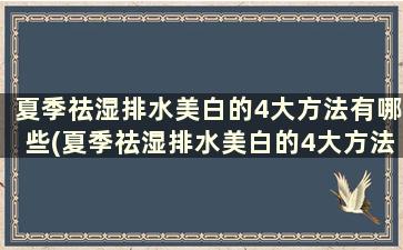 夏季祛湿排水美白的4大方法有哪些(夏季祛湿排水美白的4大方法是)