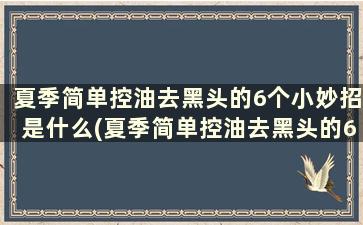 夏季简单控油去黑头的6个小妙招是什么(夏季简单控油去黑头的6个小妙招)