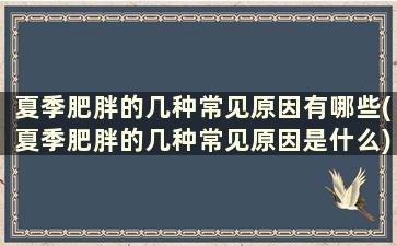 夏季肥胖的几种常见原因有哪些(夏季肥胖的几种常见原因是什么)