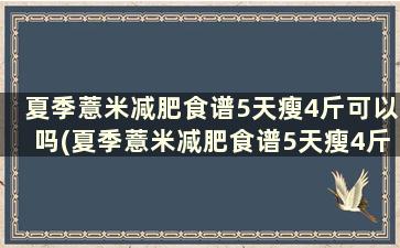 夏季薏米减肥食谱5天瘦4斤可以吗(夏季薏米减肥食谱5天瘦4斤怎么吃)