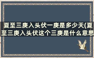 夏至三庚入头伏一庚是多少天(夏至三庚入头伏这个三庚是什么意思)