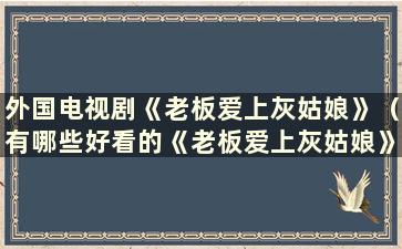 外国电视剧《老板爱上灰姑娘》（有哪些好看的《老板爱上灰姑娘》电视剧）