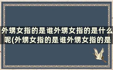 外甥女指的是谁外甥女指的是什么呢(外甥女指的是谁外甥女指的是什么生肖)