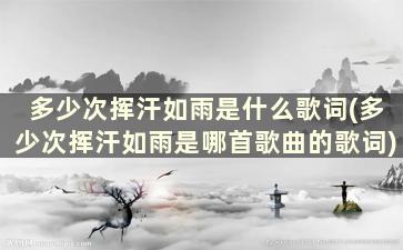 多少次挥汗如雨是什么歌词(多少次挥汗如雨是哪首歌曲的歌词)