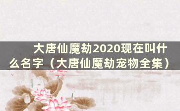 大唐仙魔劫2020现在叫什么名字（大唐仙魔劫宠物全集）