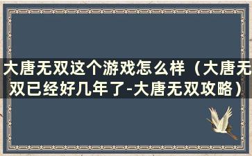 大唐无双这个游戏怎么样（大唐无双已经好几年了-大唐无双攻略）