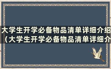 大学生开学必备物品清单详细介绍（大学生开学必备物品清单详细介绍图片）