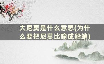 大尼莫是什么意思(为什么要把尼莫比喻成船蛸)