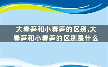 大春笋和小春笋的区别,大春笋和小春笋的区别是什么