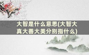 大智是什么意思(大智大真大善大美分别指什么)