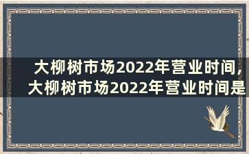 大柳树市场2022年营业时间,大柳树市场2022年营业时间是几点