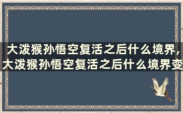 大泼猴孙悟空复活之后什么境界,大泼猴孙悟空复活之后什么境界变成了