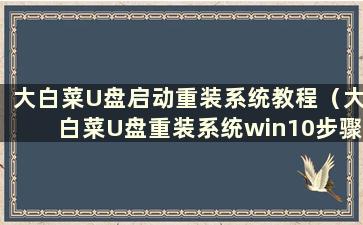 大白菜U盘启动重装系统教程（大白菜U盘重装系统win10步骤及详细教程）