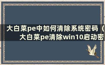 大白菜pe中如何清除系统密码（大白菜pe清除win10启动密码）