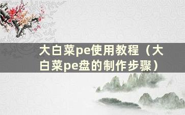 大白菜pe使用教程（大白菜pe盘的制作步骤）