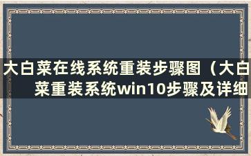 大白菜在线系统重装步骤图（大白菜重装系统win10步骤及详细教程）