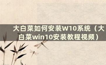 大白菜如何安装W10系统（大白菜win10安装教程视频）