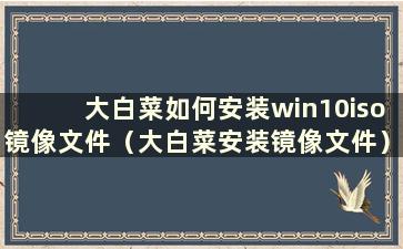 大白菜如何安装win10iso镜像文件（大白菜安装镜像文件）