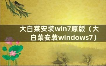 大白菜安装win7原版（大白菜安装windows7）