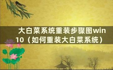 大白菜系统重装步骤图win10（如何重装大白菜系统）