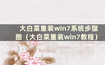 大白菜重装win7系统步骤图（大白菜重装win7教程）