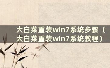 大白菜重装win7系统步骤（大白菜重装win7系统教程）