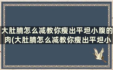 大肚腩怎么减教你瘦出平坦小腹的肉(大肚腩怎么减教你瘦出平坦小腹)