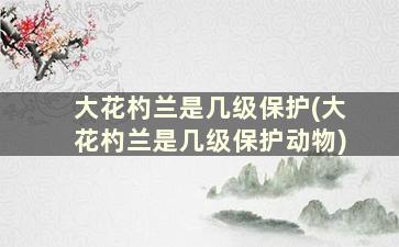 大花杓兰是几级保护(大花杓兰是几级保护动物)