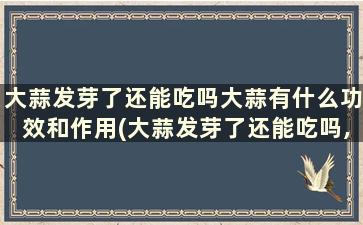 大蒜发芽了还能吃吗大蒜有什么功效和作用(大蒜发芽了还能吃吗,有毒吗)