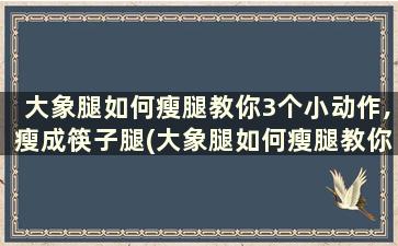 大象腿如何瘦腿教你3个小动作,瘦成筷子腿(大象腿如何瘦腿教你3个小动作,瘦成筷子腿的动作)