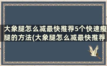 大象腿怎么减最快推荐5个快速瘦腿的方法(大象腿怎么减最快推荐5个快速瘦腿的方法图解)