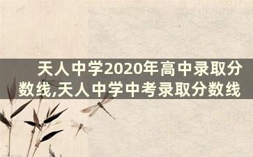 天人中学2020年高中录取分数线,天人中学中考录取分数线