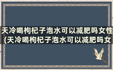 天冷喝枸杞子泡水可以减肥吗女性(天冷喝枸杞子泡水可以减肥吗女人)