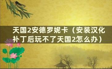 天国2安德罗妮卡（安装汉化补丁后玩不了天国2怎么办）