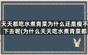 天天都吃水煮青菜为什么还是瘦不下去呢(为什么天天吃水煮青菜都瘦不了)