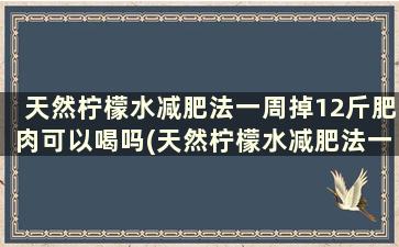 天然柠檬水减肥法一周掉12斤肥肉可以喝吗(天然柠檬水减肥法一周掉12斤肥肉可以吗)