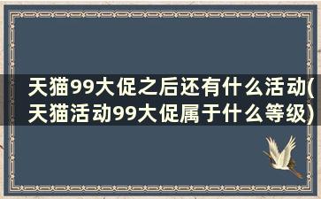 天猫99大促之后还有什么活动(天猫活动99大促属于什么等级)