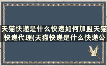 天猫快递是什么快递如何加盟天猫快递代理(天猫快递是什么快递公司)